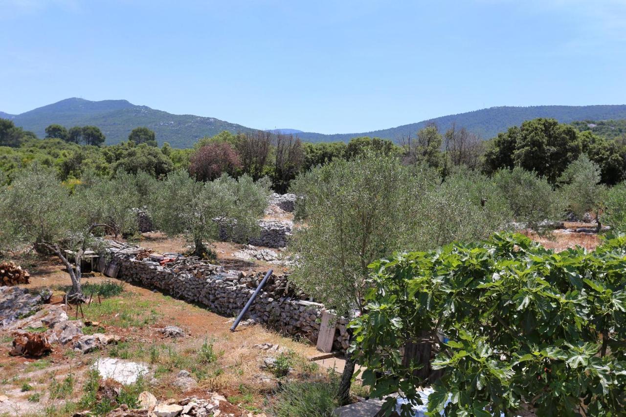 Apartments By The Sea Drace, Peljesac - 10127 외부 사진